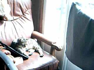 Aujourd'hui, je laisse horus faire les commentaires. C'est édifiant...  